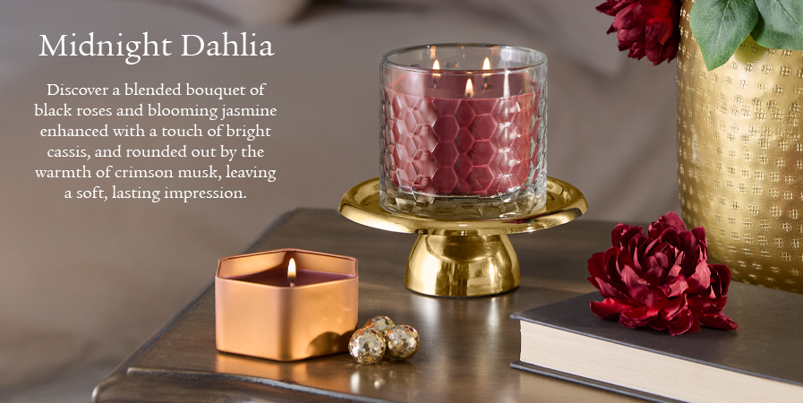 2025 Midnight Dahlia